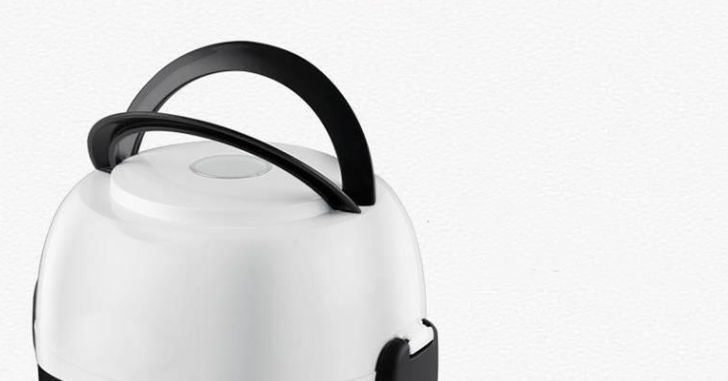 Portable Mini Rice Cooker with Stainless Steel Steamer – 2L Capacity